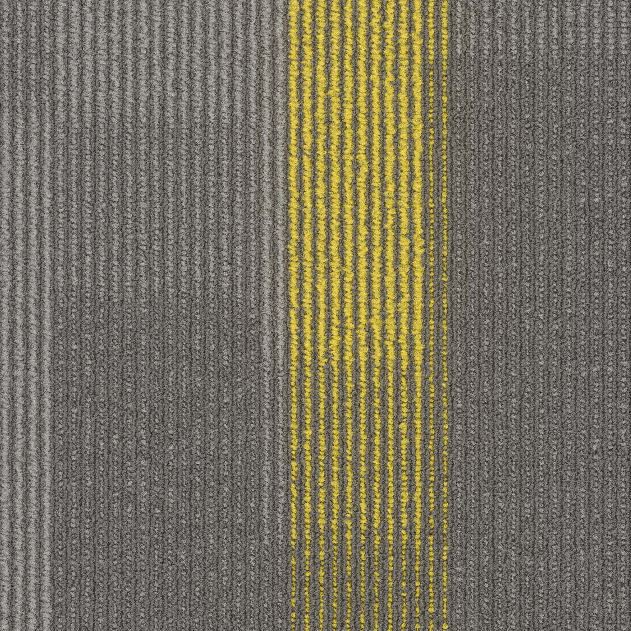 Pentz Carpet Amplify Plank 7053P-3144 Cyber 12" X 48"