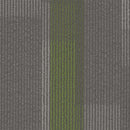 Pentz Carpet Amplify Plank 7053P-3147 Parrot 12