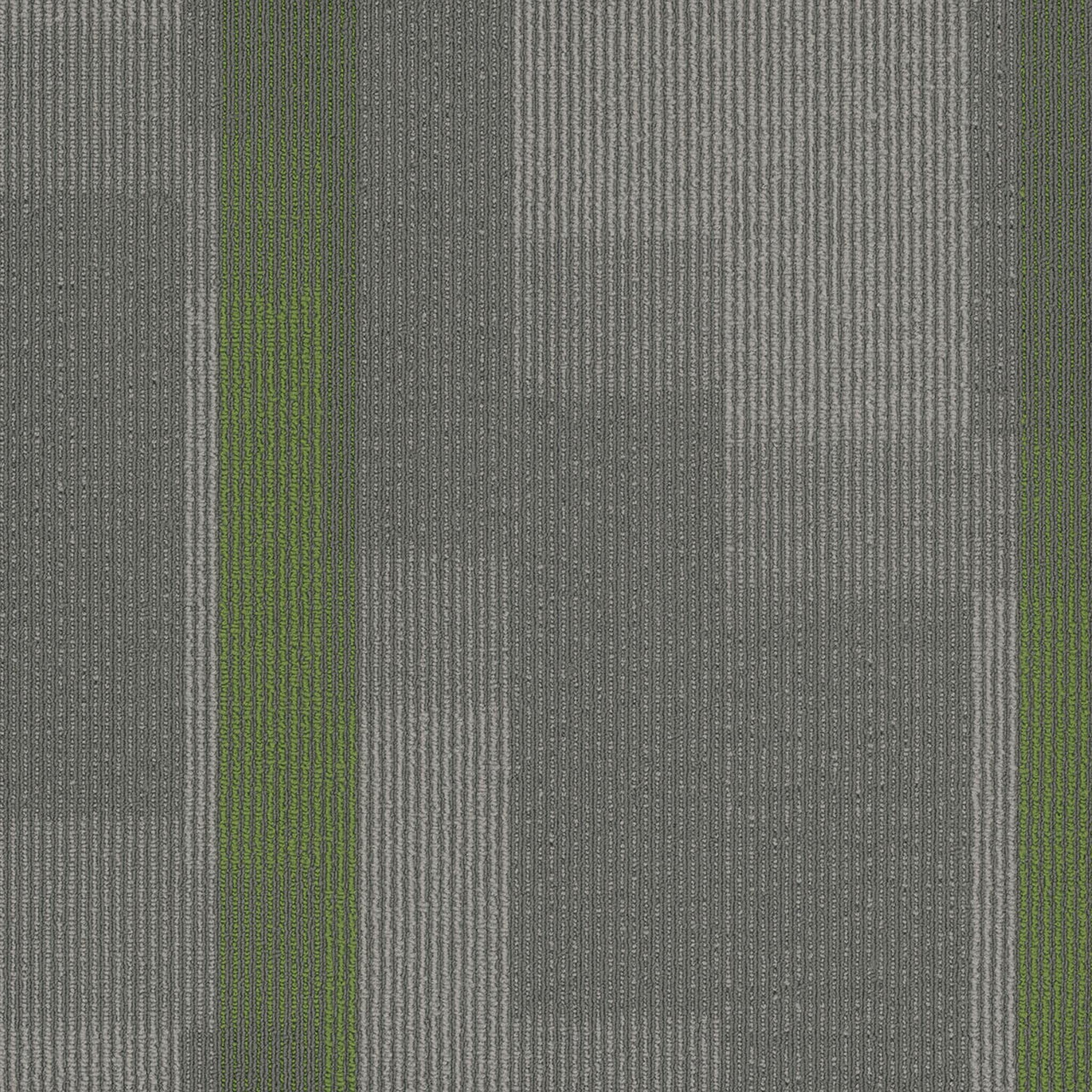 Pentz Carpet Amplify 7053T-3147 Parrot 24" X 24"