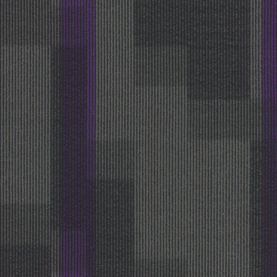 Pentz Carpet Magnify 7054T-3136 Royal Purple 24" x 24" (72 SF/Box)