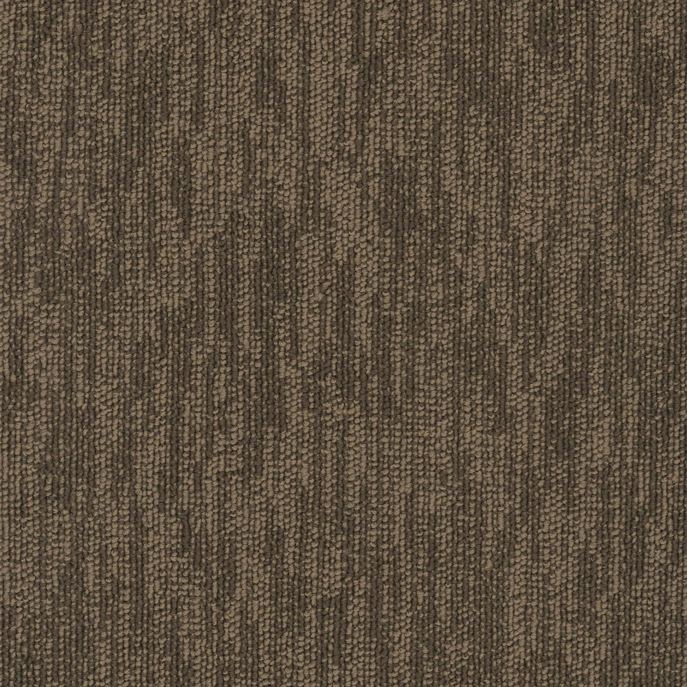 Pentz Carpet Cabled Plank Packet 12