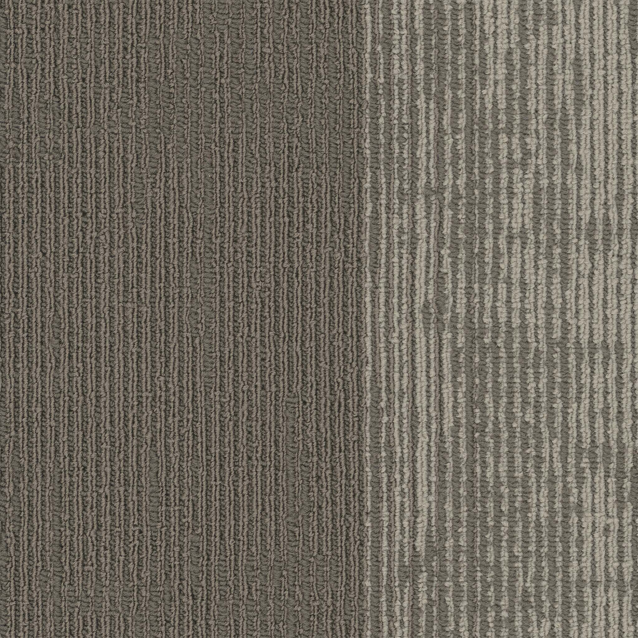 Pentz Carpet Universe Plank 7086P-3056 Celestial 12