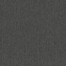 Pentz Carpet Colorpoint Plank 7094P-3205 Iron 12