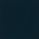 Pentz Carpet Colorpoint Plank 7094P-3209 Indigo 12