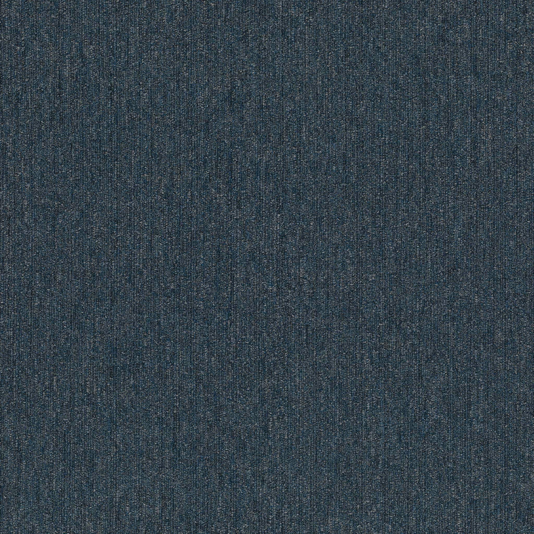 Pentz Carpet Colorpoint Plank 7094P-3211 Denim 12
