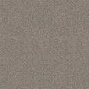 Pentz Carpet Chivalry 7233T-2641 Loyal 24