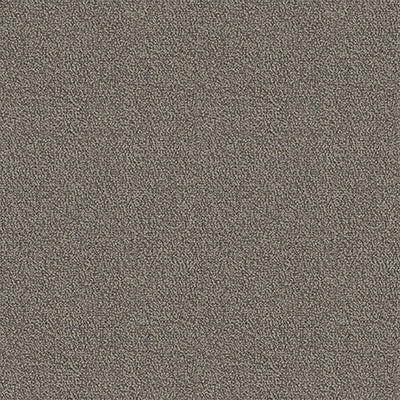 Pentz Carpet Chivalry 7233T-2642 Nobel 24" x 24" (72 SF/Box)