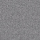 Pentz Carpet Chivalry 7233T-2643 Courteous 24