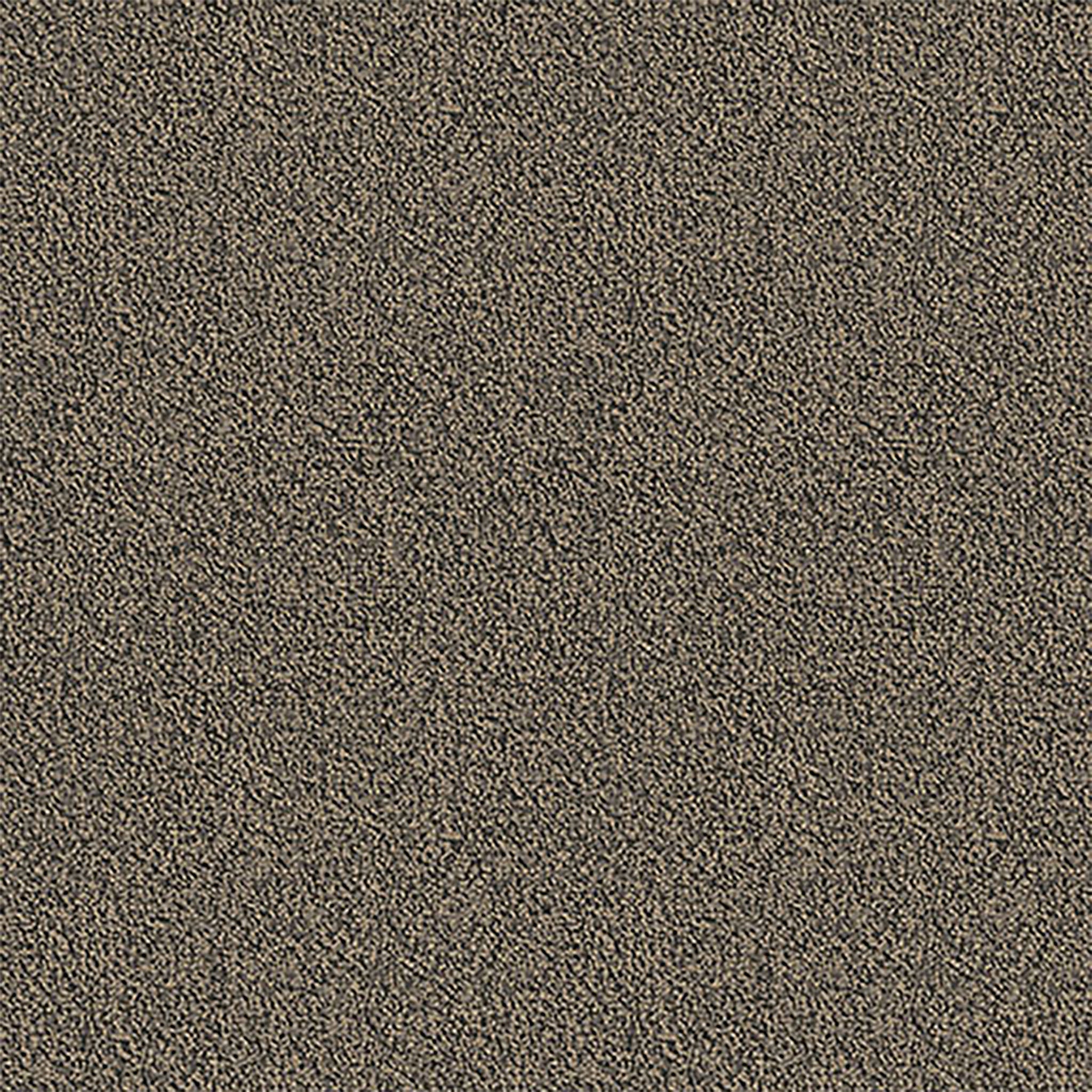 Pentz Carpet Chivalry 7233T-2644 Honor 24" X 24"