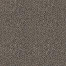Pentz Carpet Chivalry 7233T-2646 Thoughtful 24
