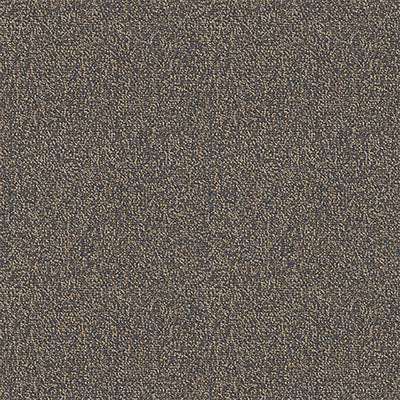 Pentz Carpet Chivalry 7233T-2646 Thoughtful 24" x 24" (72 SF/Box)