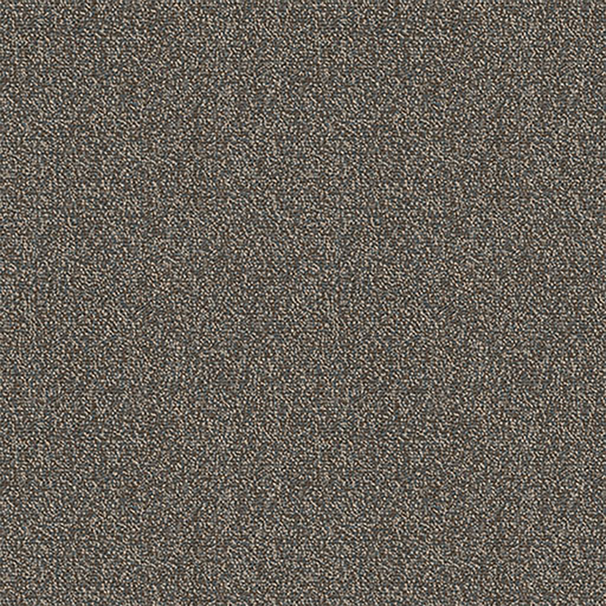 Pentz Carpet Chivalry 7233T-2647 Faithful  (Partial Piece - Sample)