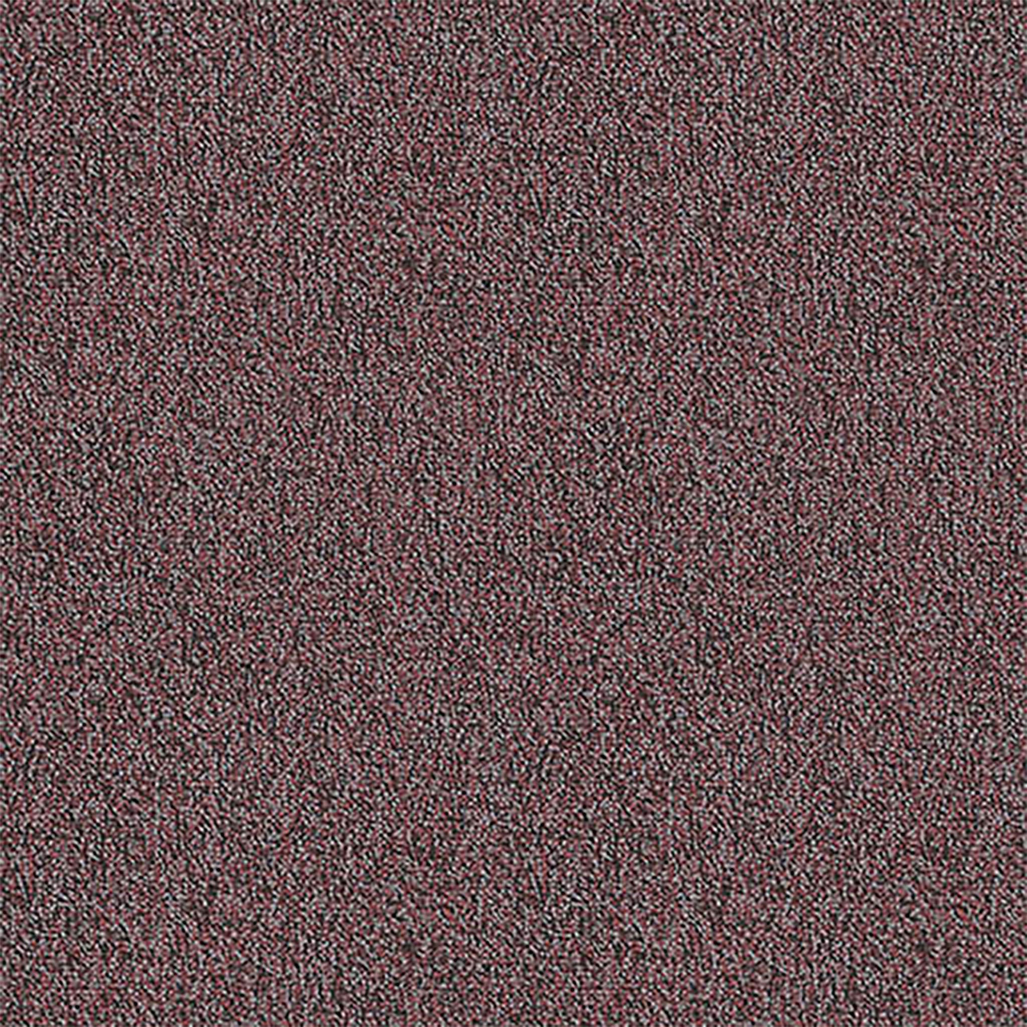 Pentz Carpet Chivalry 7233T-2648 Romantic 24" X 24"