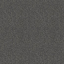 Pentz Carpet Chivalry 7233T-2651 Humility 24
