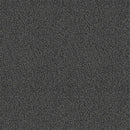 Pentz Carpet Chivalry 7233T-2654 Gentleman 24