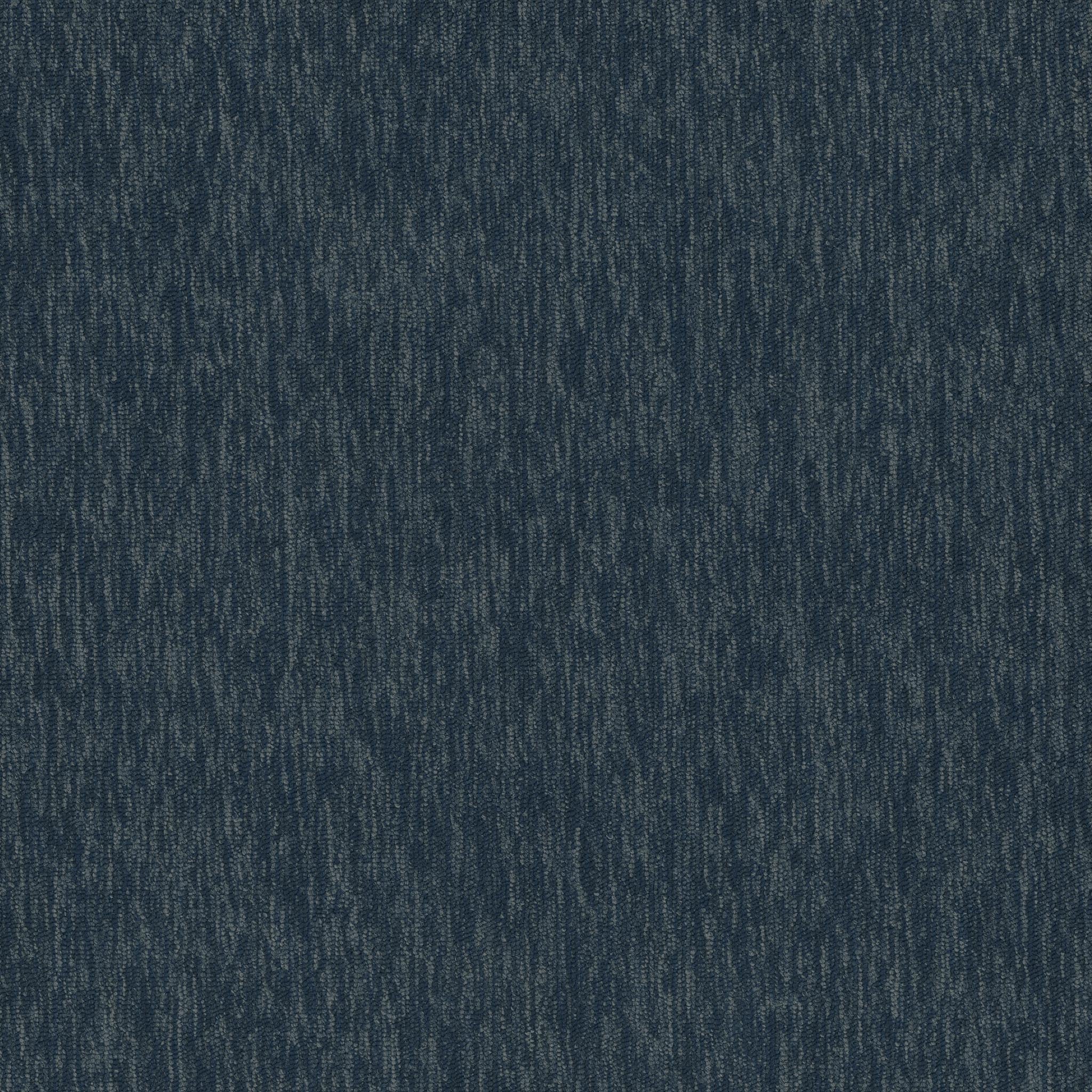 Pentz Carpet Streaming 7237T-2942 Bandwidth (Partial Piece - Sample)