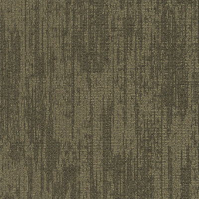 Pentz Carpet Podcast 7553T-3542 Cookies 24" x 24" (72 SF/Box)