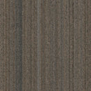 Pentz Carpet Linea 7568T-2213 Straight Forward 24