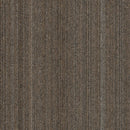 Pentz Carpet Linea 7568T-3311 Plumb 24