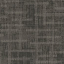 Pentz Carpet Veritas 7911T-3396 Shoo-In 24