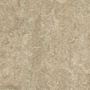 Forbo Marmoleum Marbled Real 3234-80120 Forest Ground Linoleum Sheet Flooring (79
