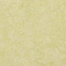 Forbo Marmoleum Marbled Real 3881-80292 Green Wellness Linoleum Sheet Flooring (79