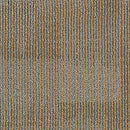 Aladdin Onward Bound Carpet Tile 2B58-841 Seize Challenge (Partial Piece - Sample)