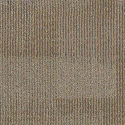 Aladdin Onward Bound Carpet Tile 2B58-841 Seize Challenge (Partial Piece - Sample)