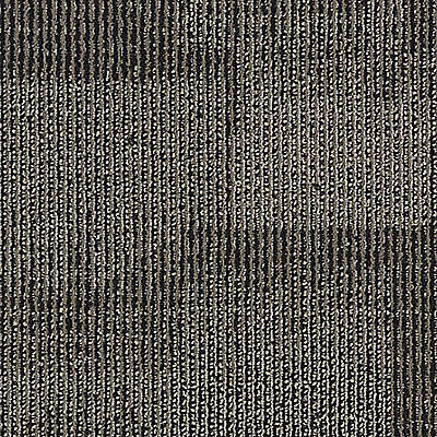 Aladdin Onward Bound Carpet Tile 2B58-979 Rare Opportunity (Partial Piece - Sample)
