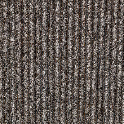 Aladdin Brilliantly Amazed Carpet Tile 2B60-521 So Intrigued (Partial Piece - Sample)