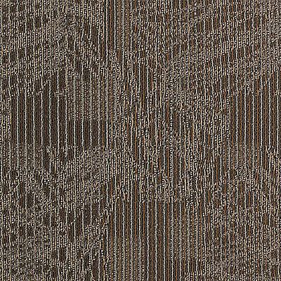 Aladdin Transforming Spaces Carpet Tile 2B80-858 Individual Twist (Partial Piece - Sample)