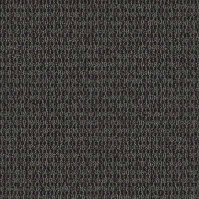 Aladdin Implore Carpet Tile QA128-999 Specify (Partial Piece - Sample)