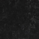 Forbo Black Linoleum Sheet 2939-9255 MCS (Partial Piece - Sample)