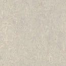 Forbo Concrete Linoleum Sheet 3136-9277 MCS (Partial Piece - Sample)