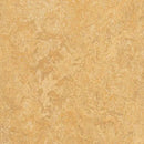 Forbo MCS 2.0 3173 Van Gogh Linoleum Sheet (Partial Piece - Sample)