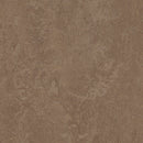 Forbo Marmoleum Click Cinch LOC Seal Waterproof Seal 333254 Clay 12