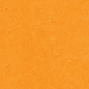 Forbo Marmoleum Click Cinch LOC Seal Waterproof Seal 333262 Marigold 12