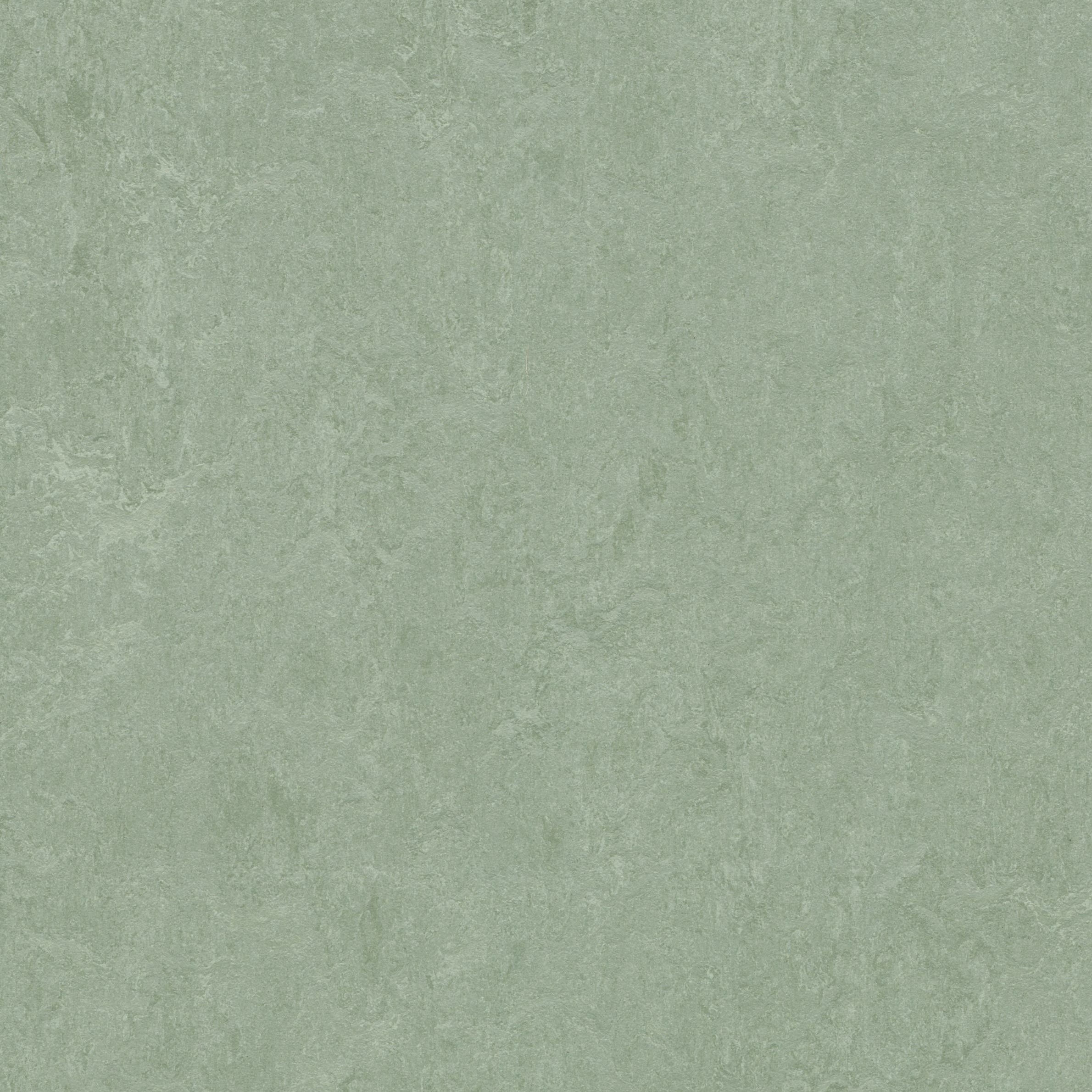 Forbo Marmoleum Click Cinch LOC Seal Waterproof Seal 933891 Sage 12" x 36" Linoleum Tile Flooring