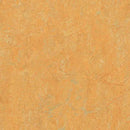 Forbo MCS 2.0 3847 Golden Saffron Linoleum Sheet (Partial Piece - Sample)