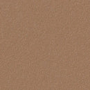 Forbo Nutmeg Spice 2166-9979 Bulletin Board Linoleum Sheet (Partial Piece - Sample)