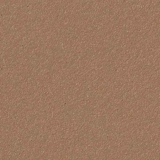 Forbo Nutmeg Spice 2166-9979 Bulletin Board Linoleum Sheet (Partial Piece - Sample)