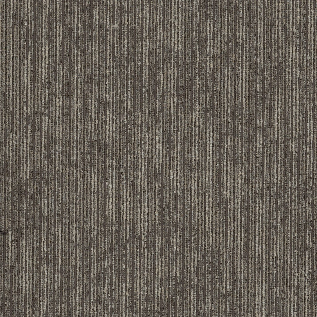 Philadelphia Commercial Aim High 54996-00200-Empower 18" x 36" Carpet Tile