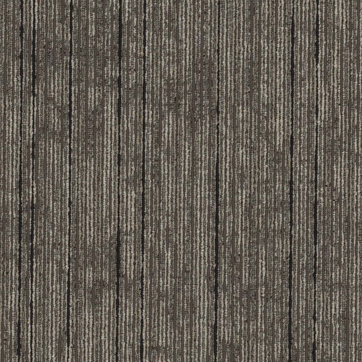 Philadelphia Commercial Aim High 54996-00205-Invest 18" x 36" Carpet Tile