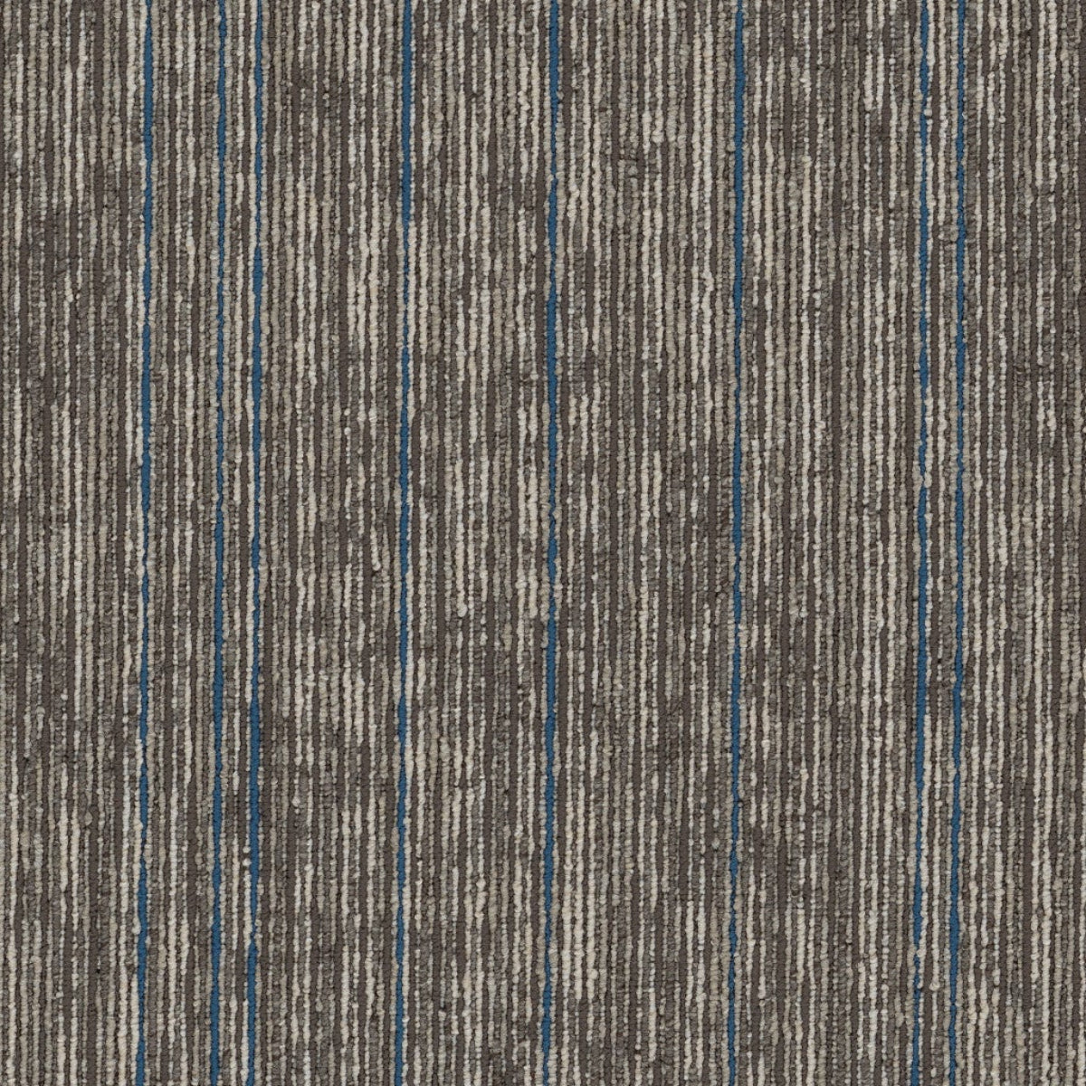 Philadelphia Commercial Aim High 54996-00104-Magnify 18" x 36" Carpet Tile