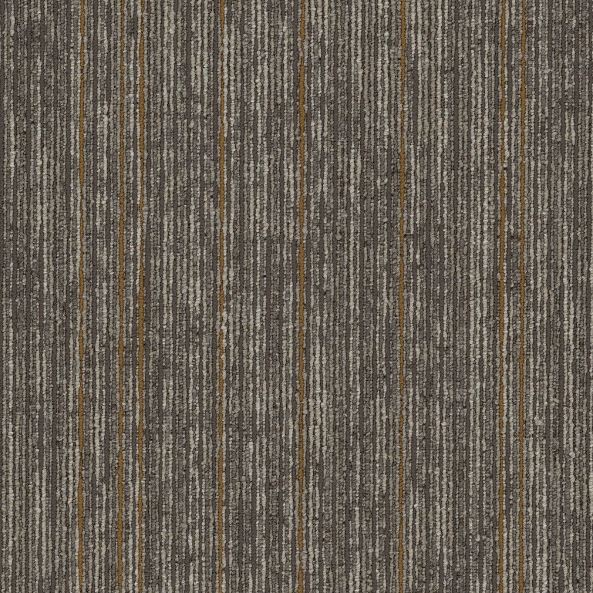 Philadelphia Commercial Aim High 54996-00202-Motivate 18" x 36" Carpet Tile