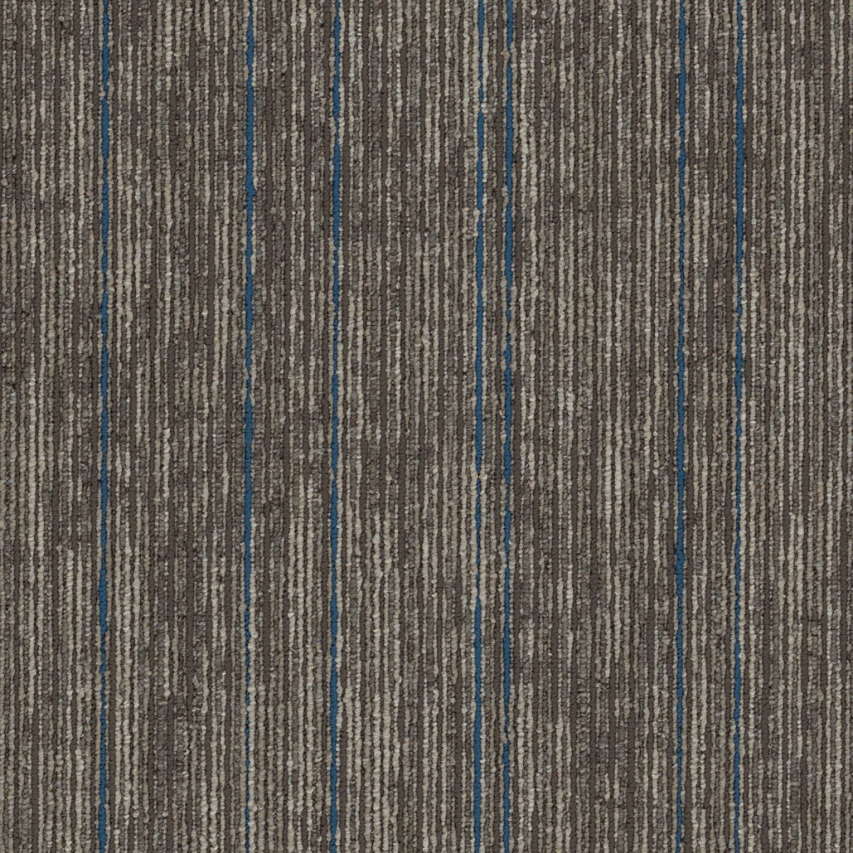 Philadelphia Commercial Aim High 54996-00204-Support 18" x 36" Carpet Tile