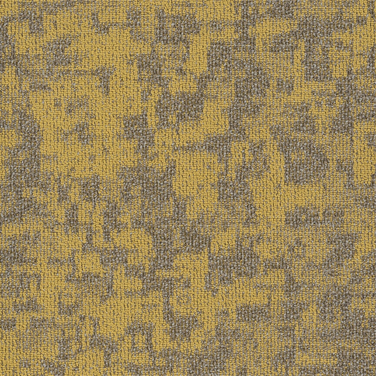 Philadelphia Commercial Arid 54848-00220 Monadnock 18" x 36" Carpet Tile