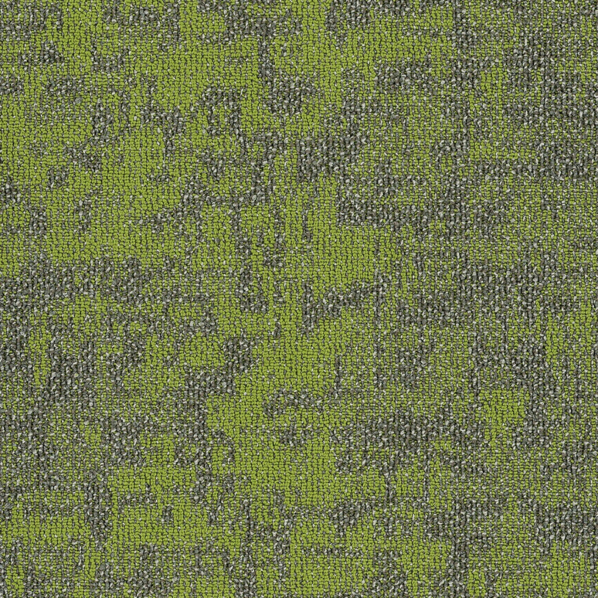 Philadelphia Commercial Arid 54848-00315 Taiga 18" x 36" Carpet Tile