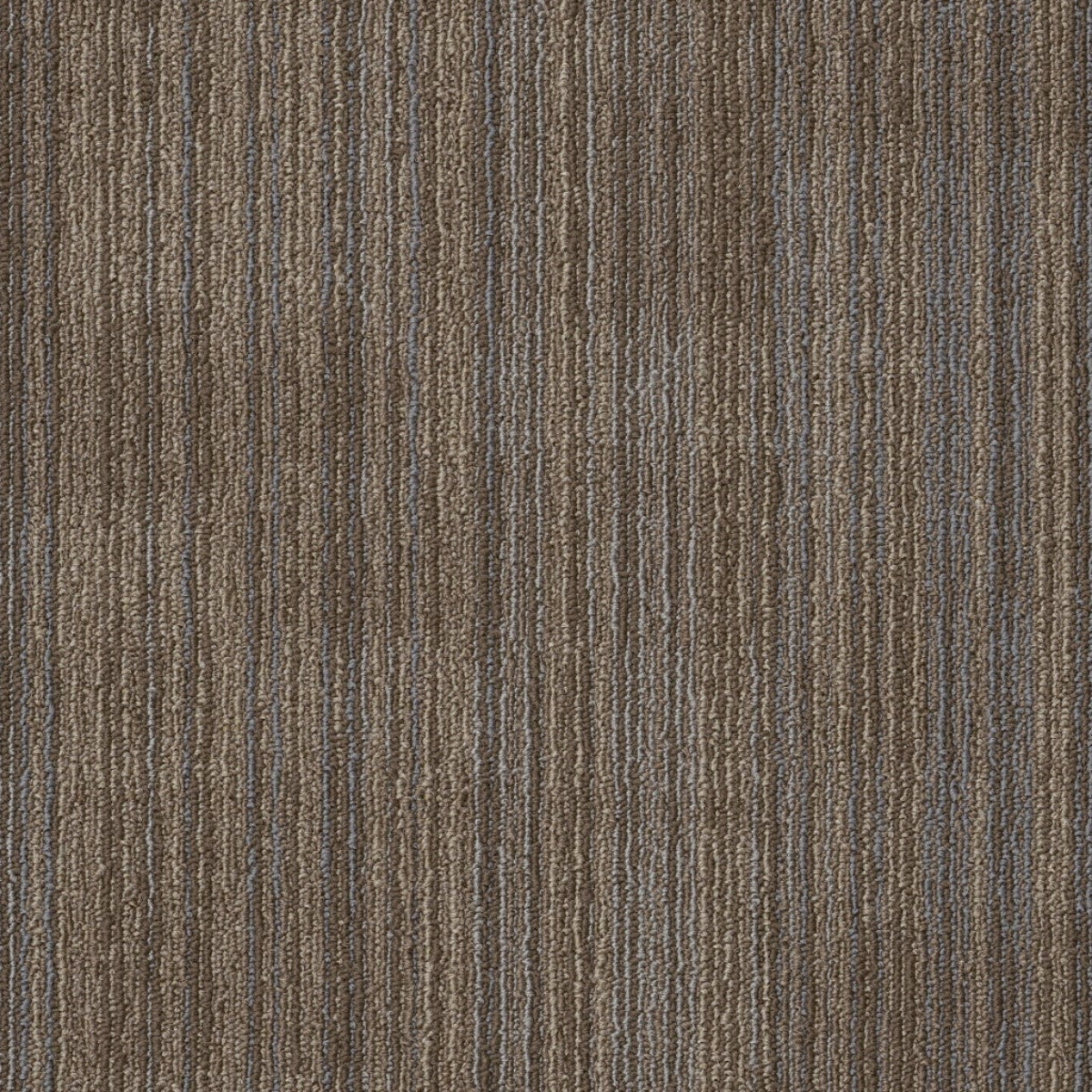 Philadelphia Mainstreet Ascension 54973-00204 Recreate 18" x 36" Carpet Tile (63 SF/Box)