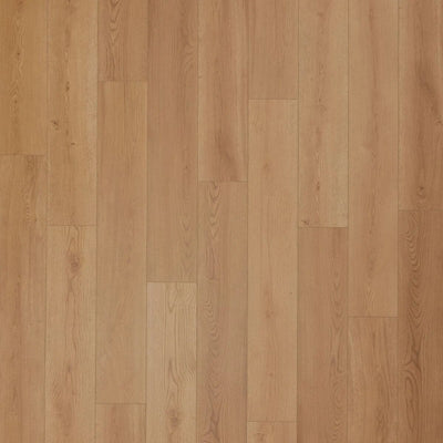 Aladdin Bentwood 2.5 AH126-832 Benton 9" x 60" Glue Down LVT (52 SF/Box)